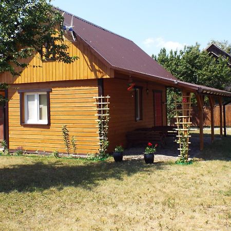 Domki Przy Puszczy Bialowieskiej Dubicze Cerkiewne Exterior photo